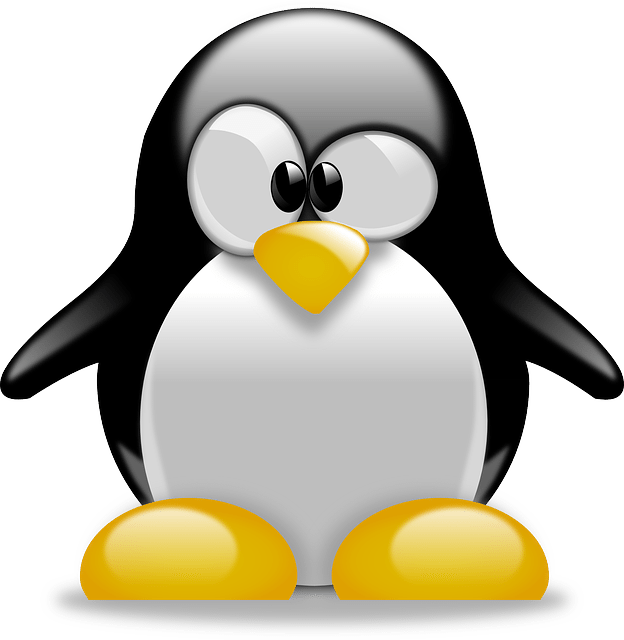 פינגווין 4.0 שוחרר – עדכון בזמן אמת